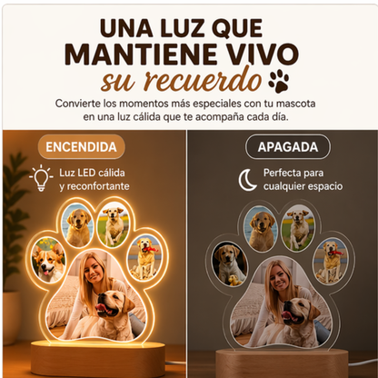 Lampara Recuerdo de mi Perro